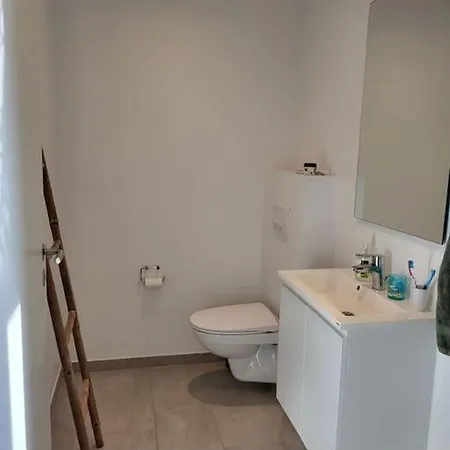 Cozy And Modern 2-plan House Herning